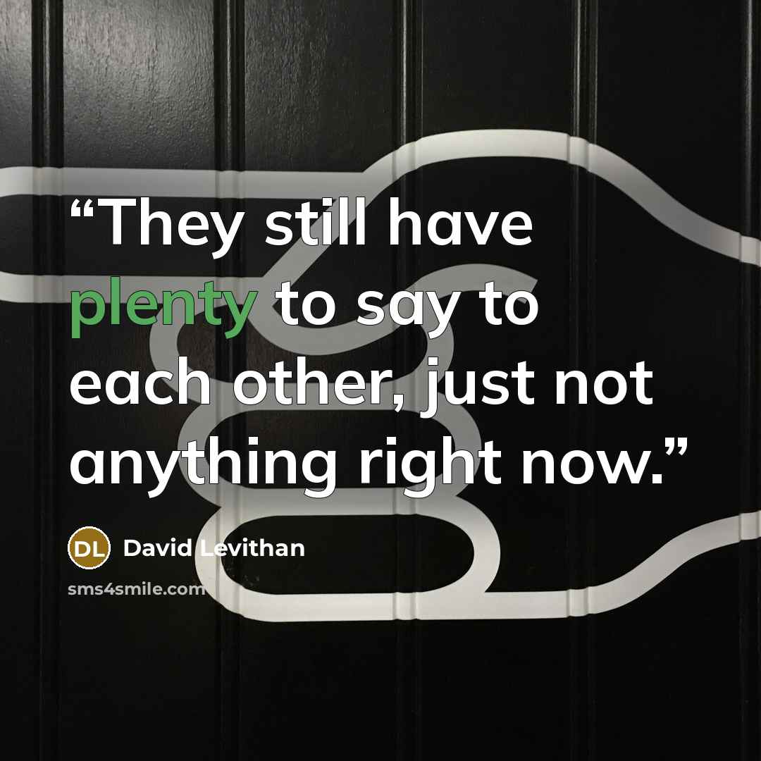 “They still have plenty to say to each other, just not anything right now.” quote by David Levithan