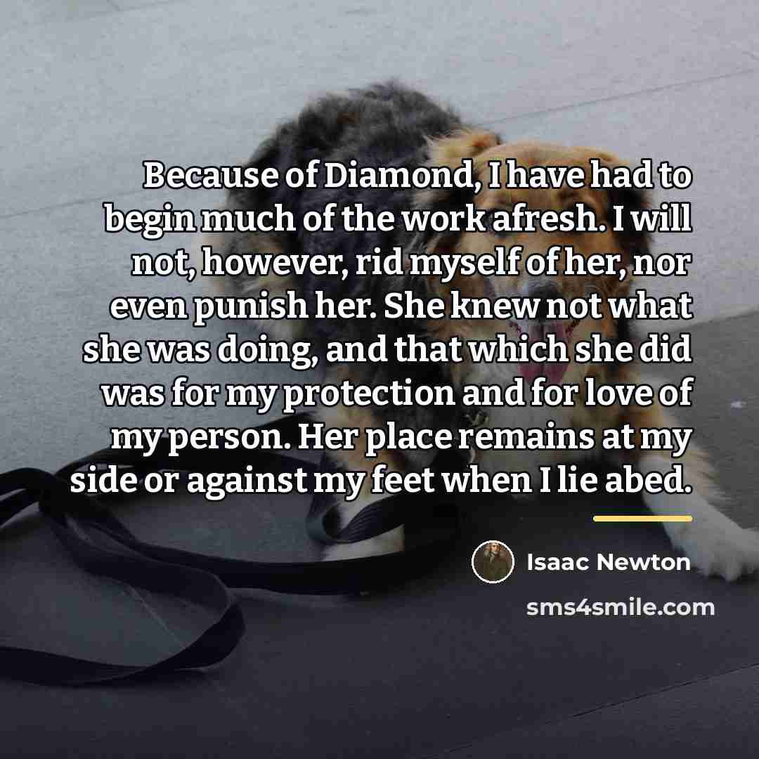 “Because of Diamond, I have had to begin much of…” quote by Isaac Newton