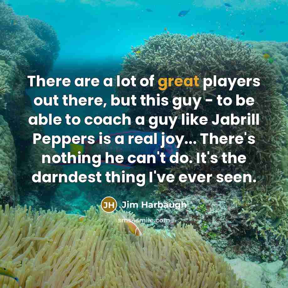 “There are a lot of great players out there, but…” quote by Jim Harbaugh