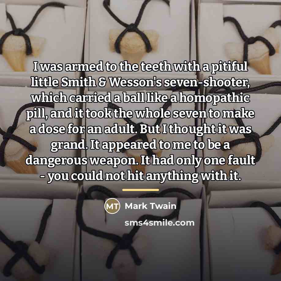 “I was armed to the teeth with a pitiful little…” quote by Mark Twain