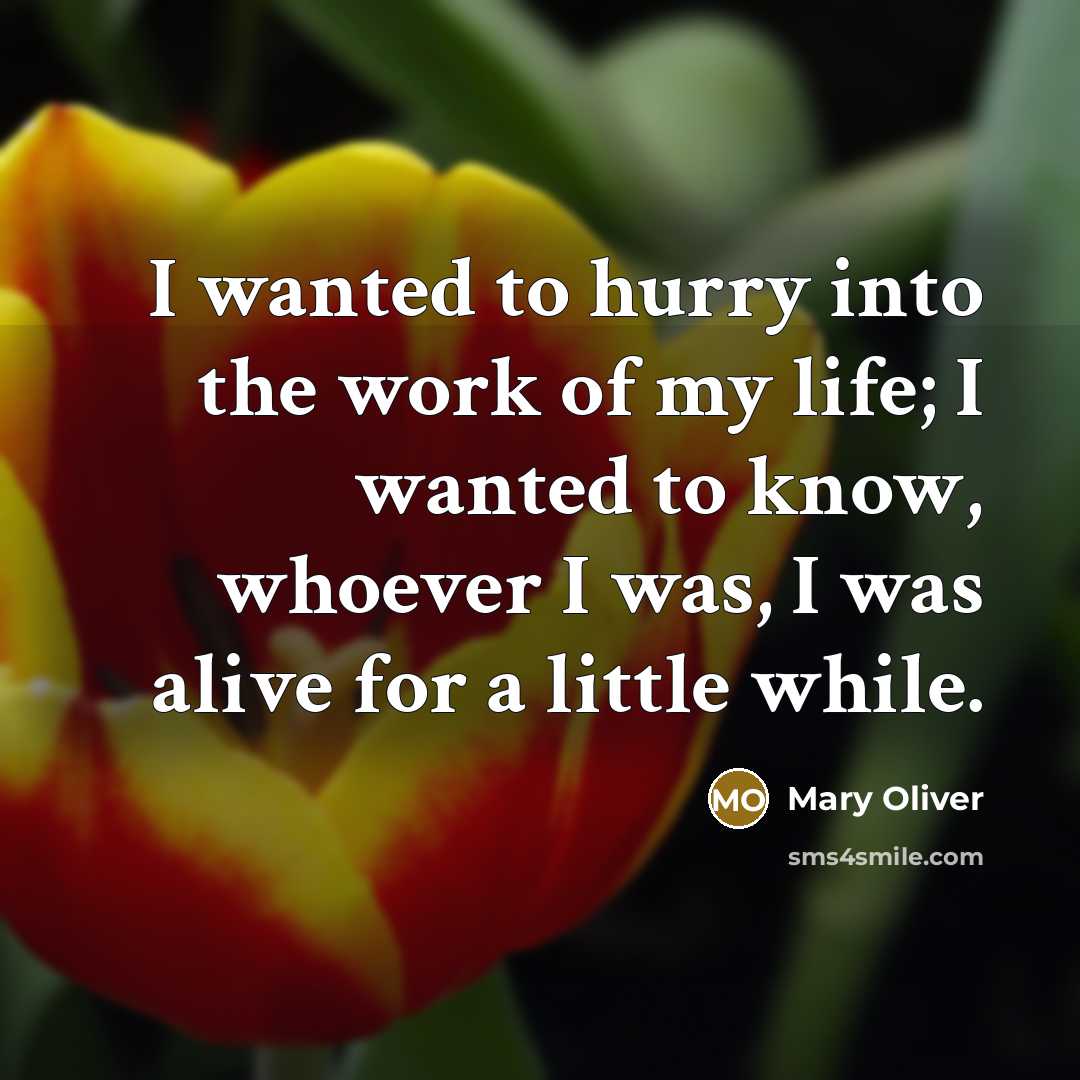“I wanted to hurry into the work of my life;…” quote by Mary Oliver