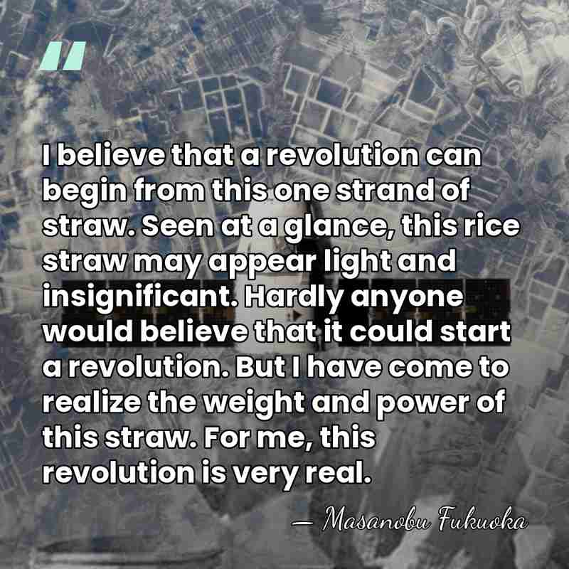 I believe that a revolution can begin from this one strand of&hellip; - Masanobu Fukuoka