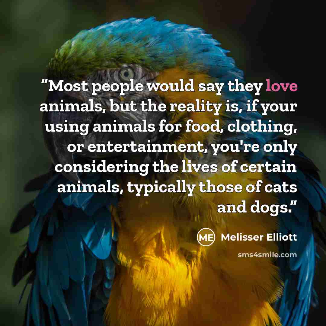 “Most people would say they love animals, but the reality is, if your using animals for food, clothing, or entertainment, you're only considering the lives of certain animals, typically those of cats and dogs.” quote by Melisser Elliott