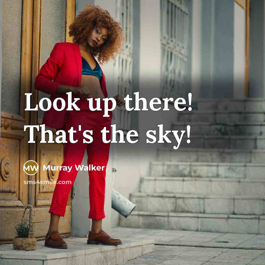 “Look up there! That's the sky!…” quote by Murray Walker