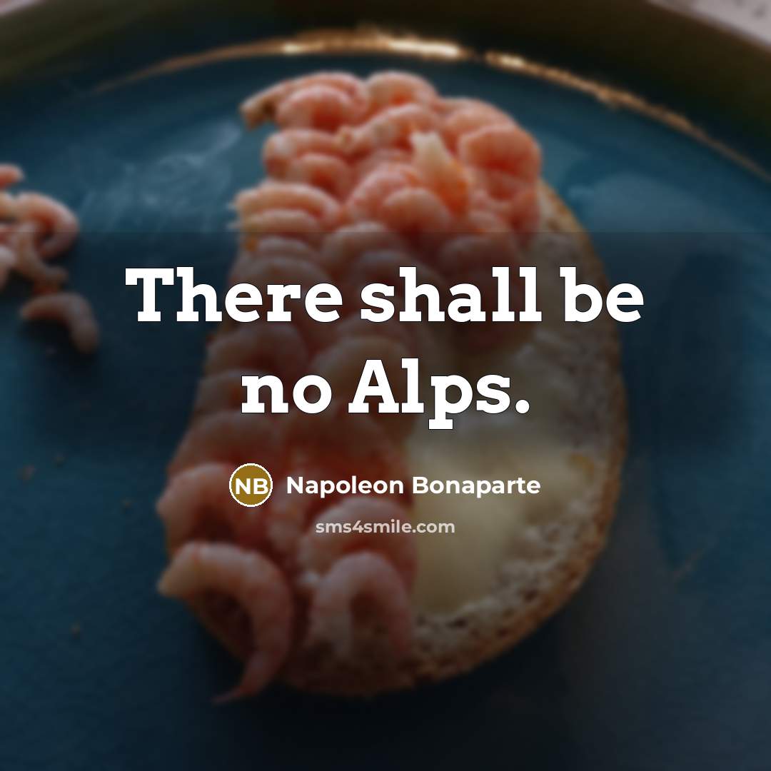 “There shall be no Alps.…” quote by Napoleon Bonaparte