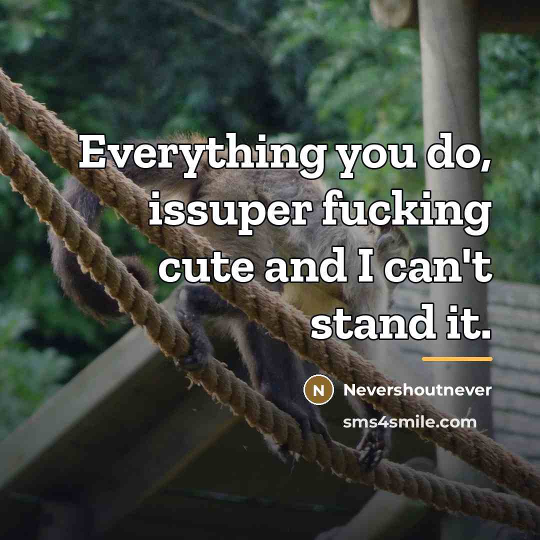 “Everything you do, issuper fucking cute and I can't stand…” quote by Nevershoutnever