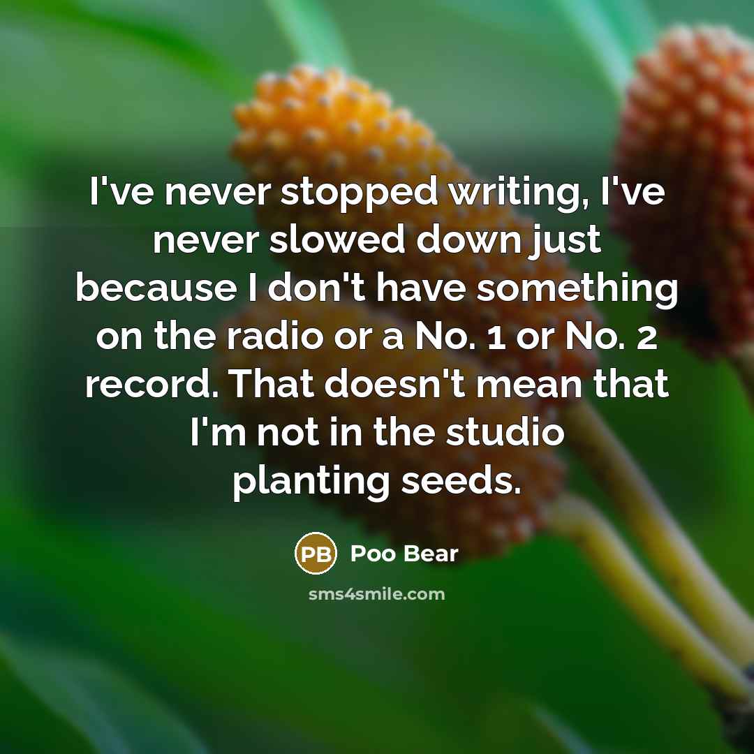 “I've never stopped writing, I've never slowed down just because…” quote by Poo Bear
