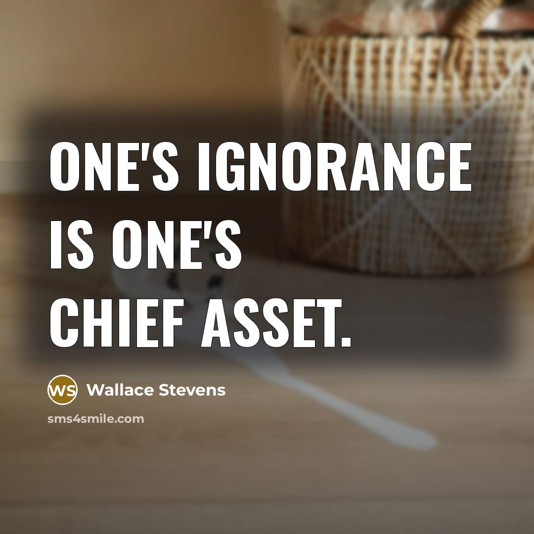 “One's ignorance is one's chief asset.…” quote by Wallace Stevens