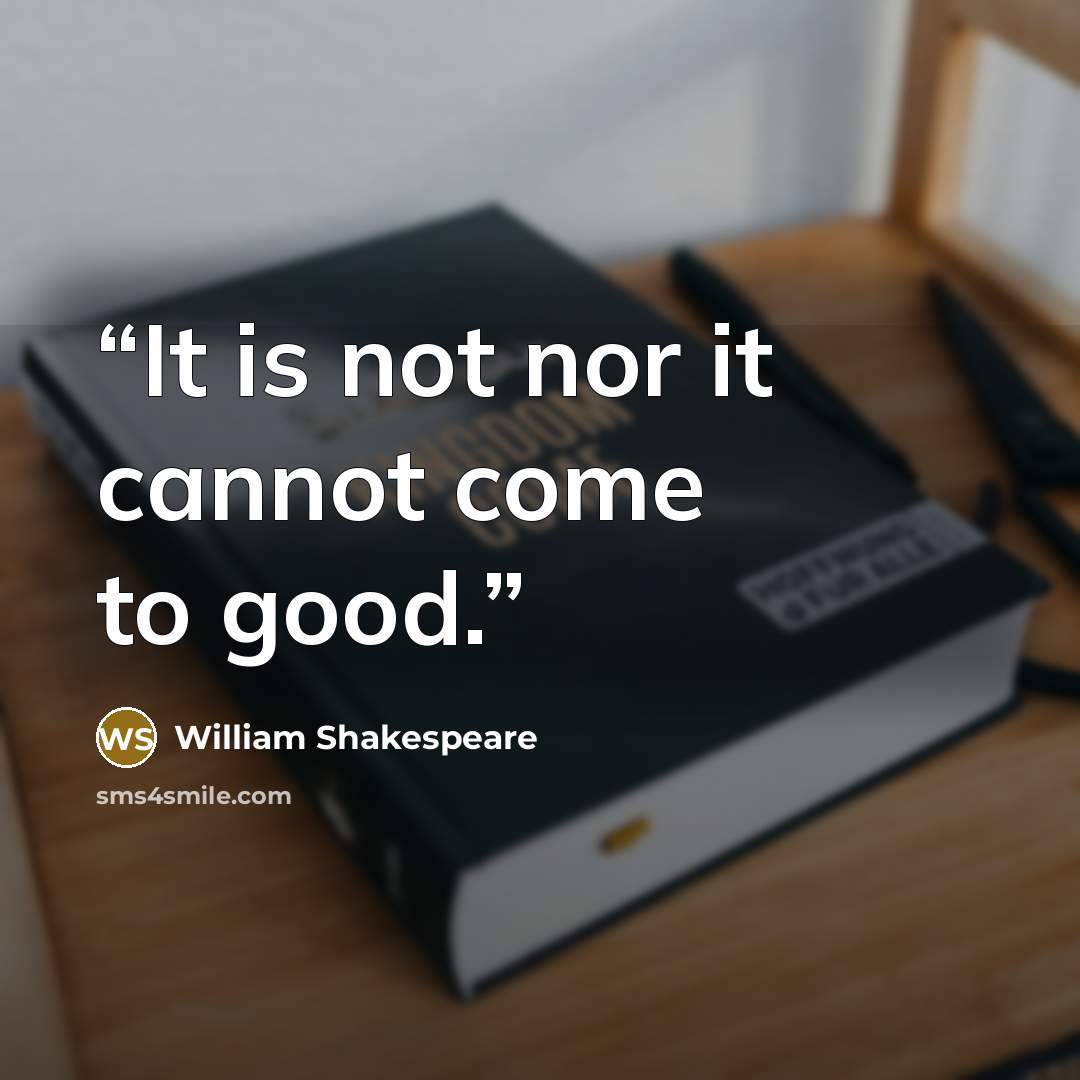 “It is not nor it cannot come to good.” quote by William Shakespeare