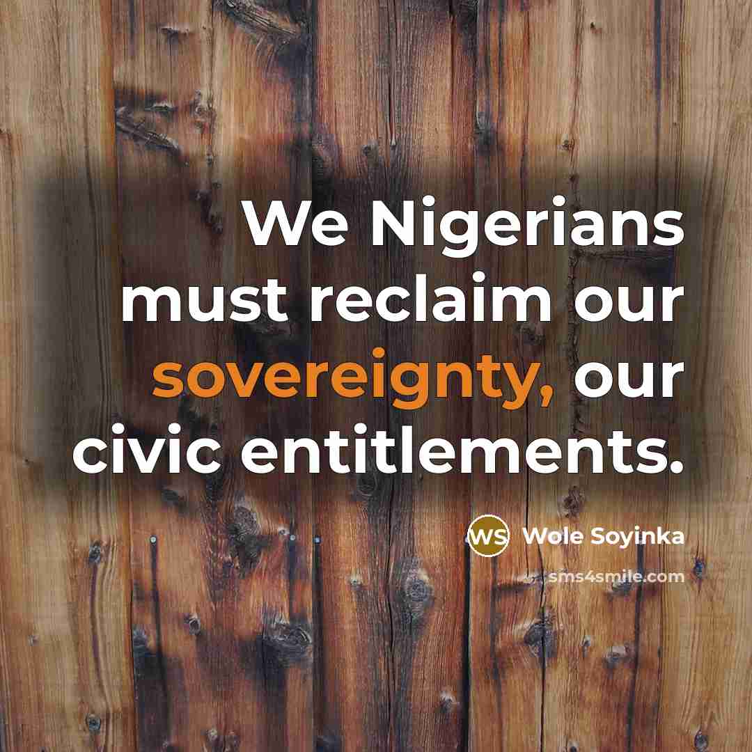 “We Nigerians must reclaim our sovereignty, our civic entitlements.…” quote by Wole Soyinka