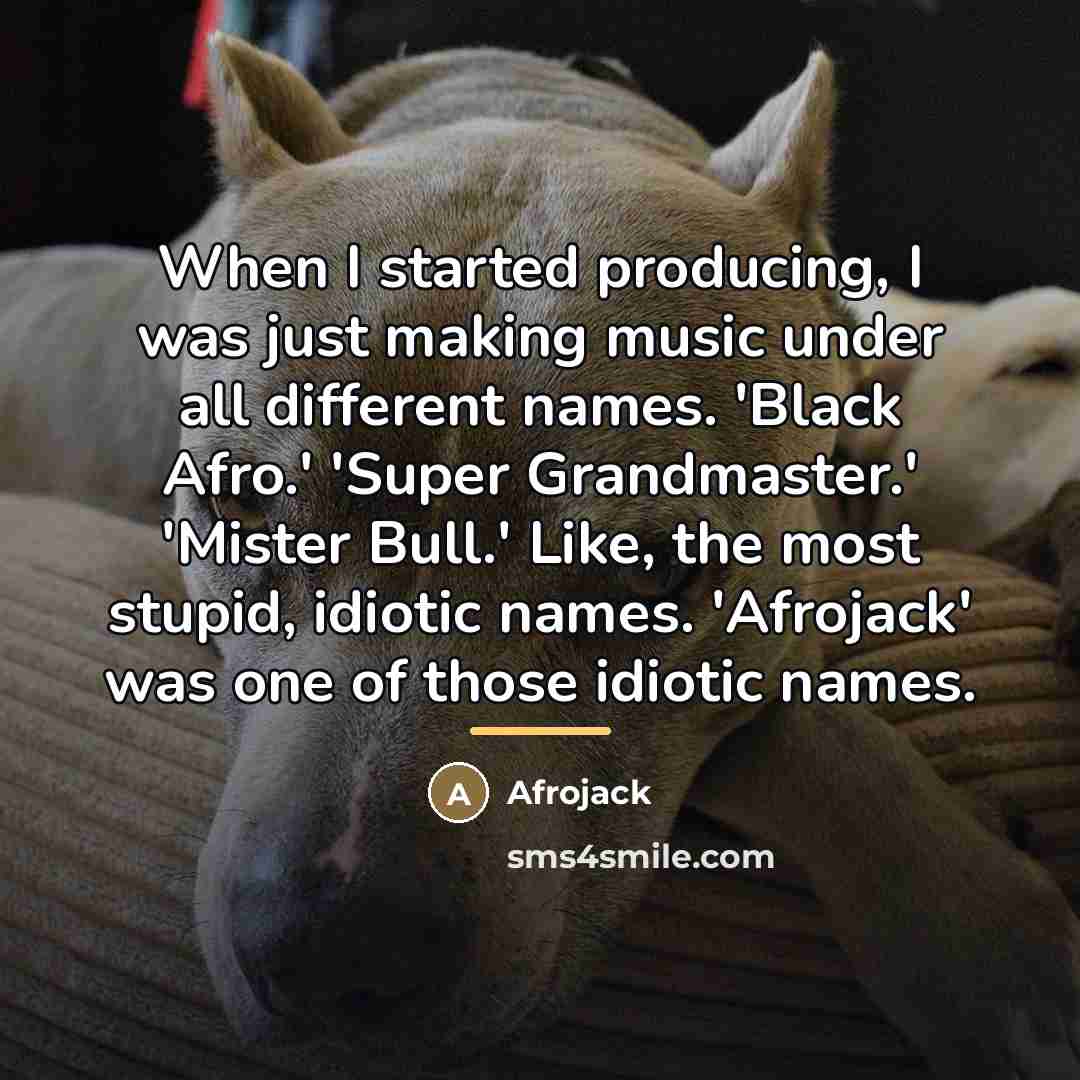 “When I started producing, I was just making music under…” quote by Afrojack