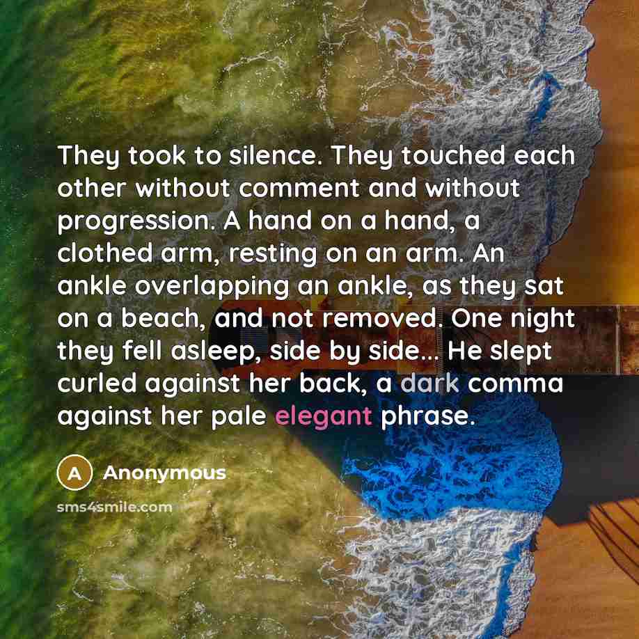 “They took to silence. They touched each other without comment…” quote by Anonymous