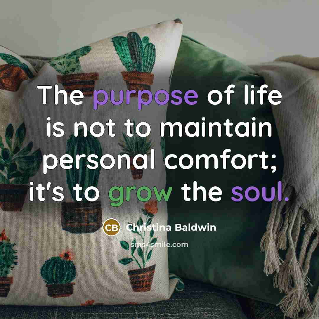 “The purpose of life is not to maintain personal comfort;…” quote by Christina Baldwin