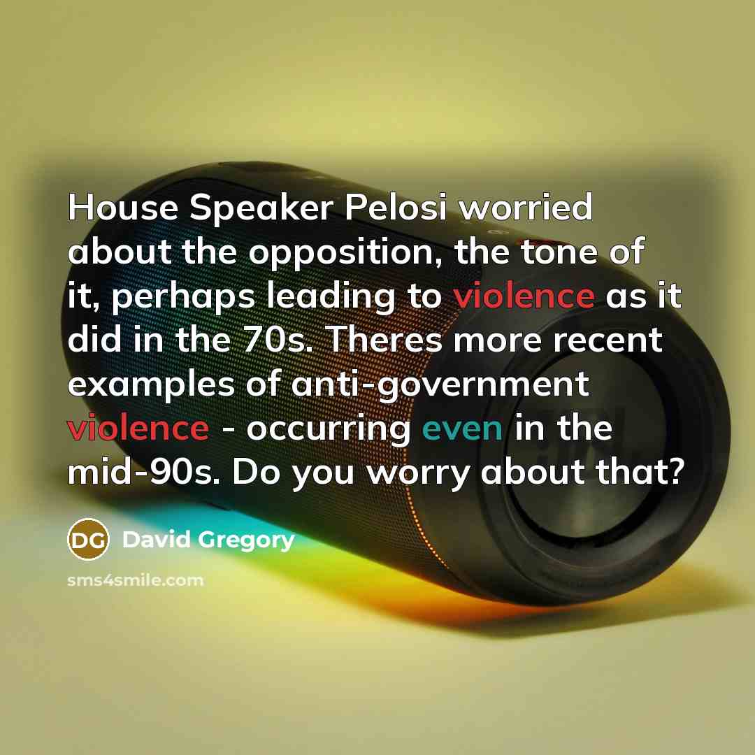“House Speaker Pelosi worried about the opposition, the tone of…” quote by David Gregory