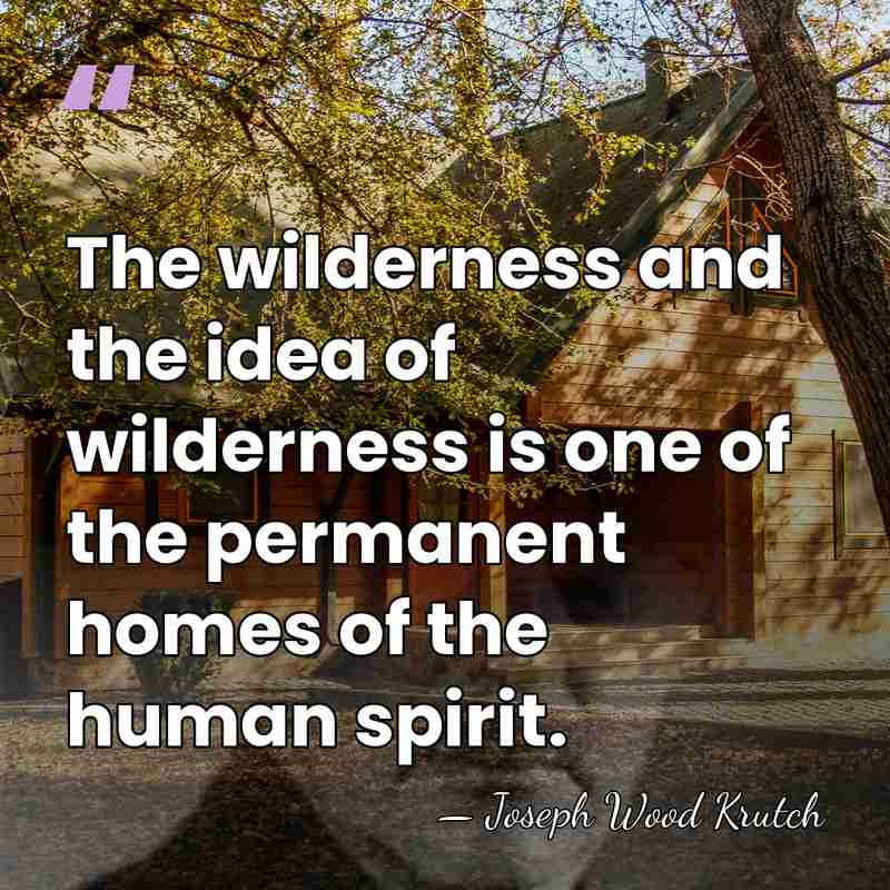 The wilderness and the idea of wilderness is one of the permanent&hellip; - Joseph Wood Krutch