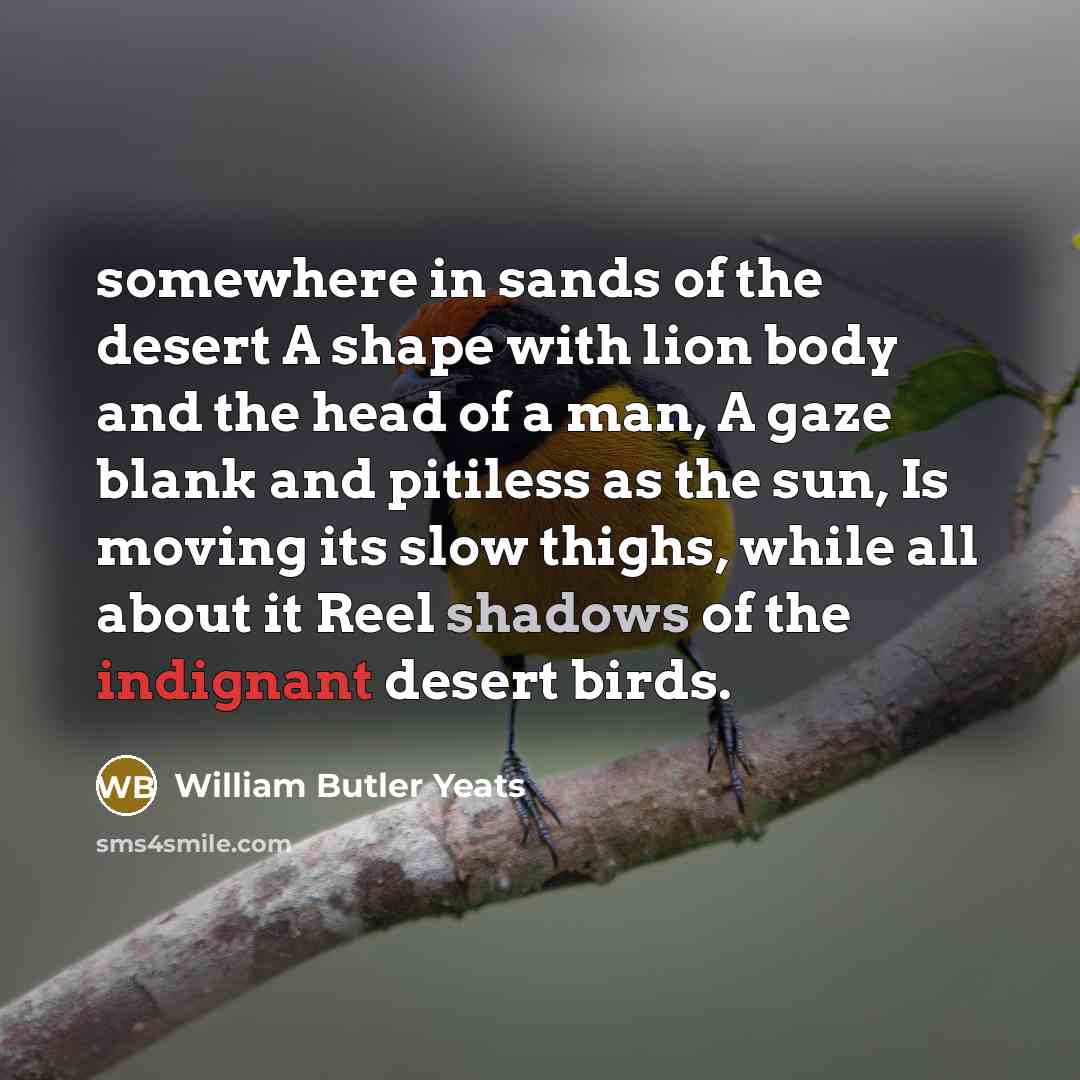 “somewhere in sands of the desert A shape with lion…” quote by William Butler Yeats