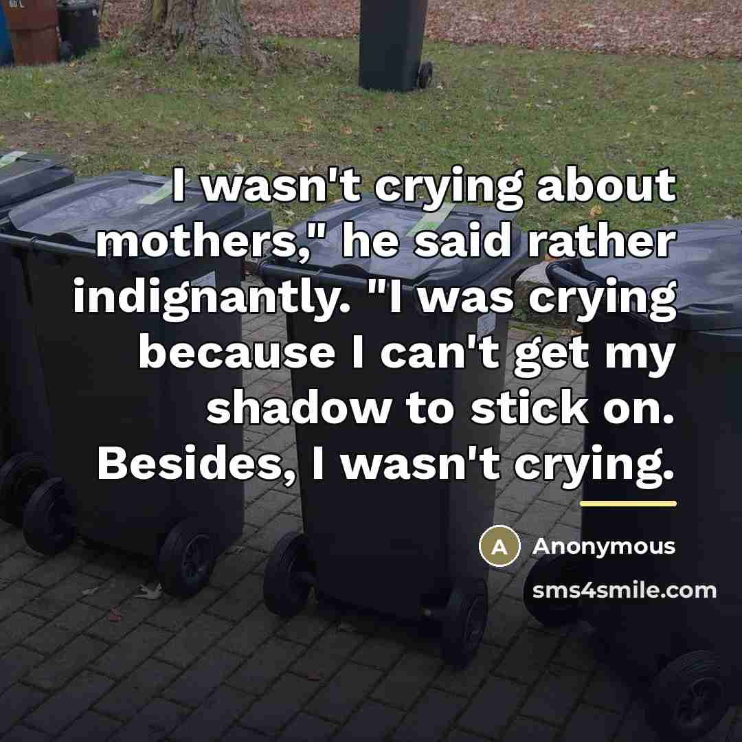 “I wasn't crying about mothers," he said rather indignantly. "I…” quote by Anonymous