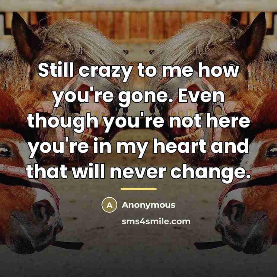 “Still crazy to me how you're gone. Even though you're not here you're in my heart and that will never change.” quote by Anonymous