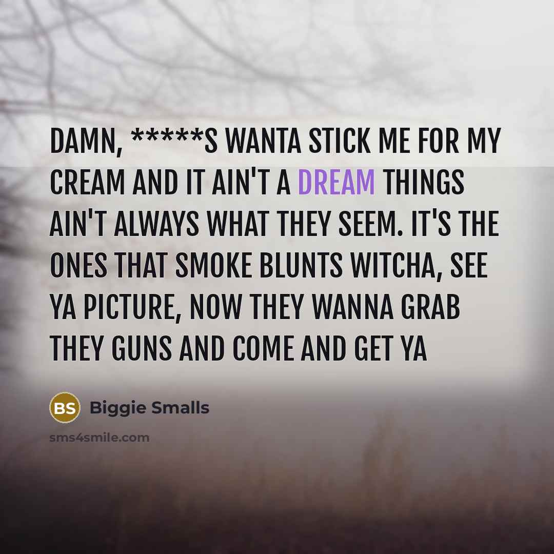 “Damn, *****s wanta stick me for my cream and it…” quote by Biggie Smalls