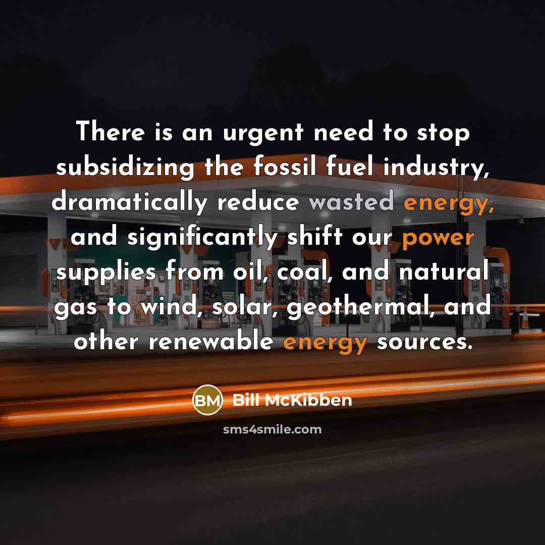“There is an urgent need to stop subsidizing the fossil fuel industry, dramatically reduce wasted energy, and significantly shift our power supplies from oil, coal, and natural gas to wind, solar, geothermal, and other renewable energy sources.” quote by Bill McKibben