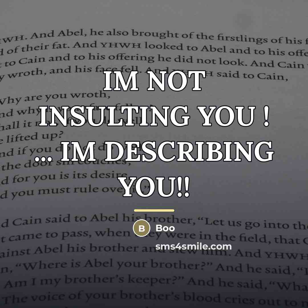 “IM NOT INSULTING YOU ! ... IM DESCRIBING YOU!!…” quote by BOO