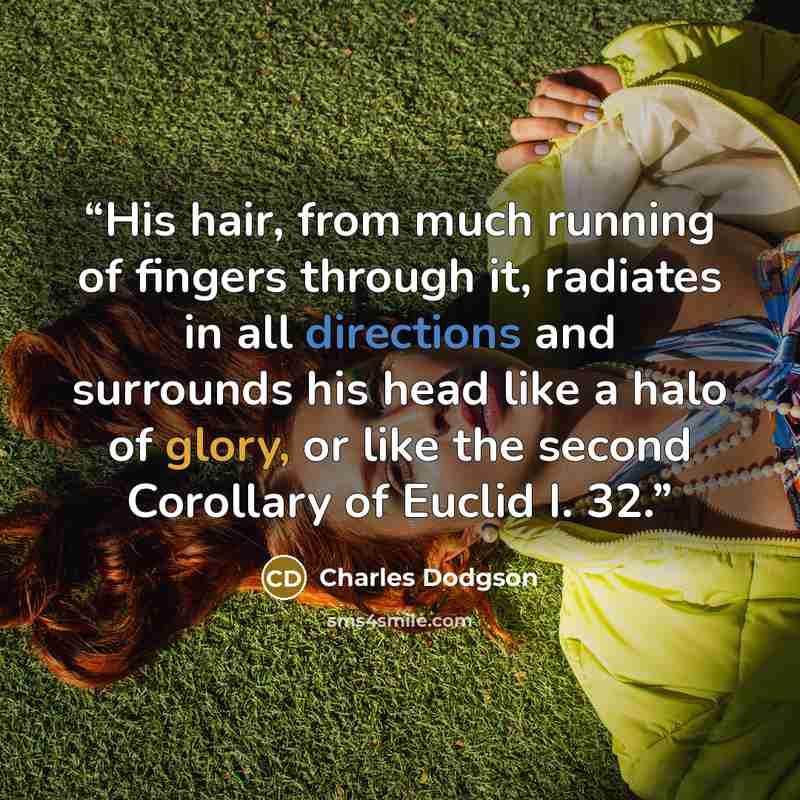 “His hair, from much running of fingers through it, radiates in all directions and surrounds his head like a halo of glory, or like the second Corollary of Euclid I. 32.” quote by Charles Dodgson
