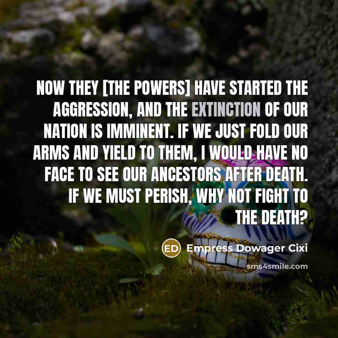 “Now they [the Powers] have started the aggression, and the…” quote by Empress Dowager Cixi