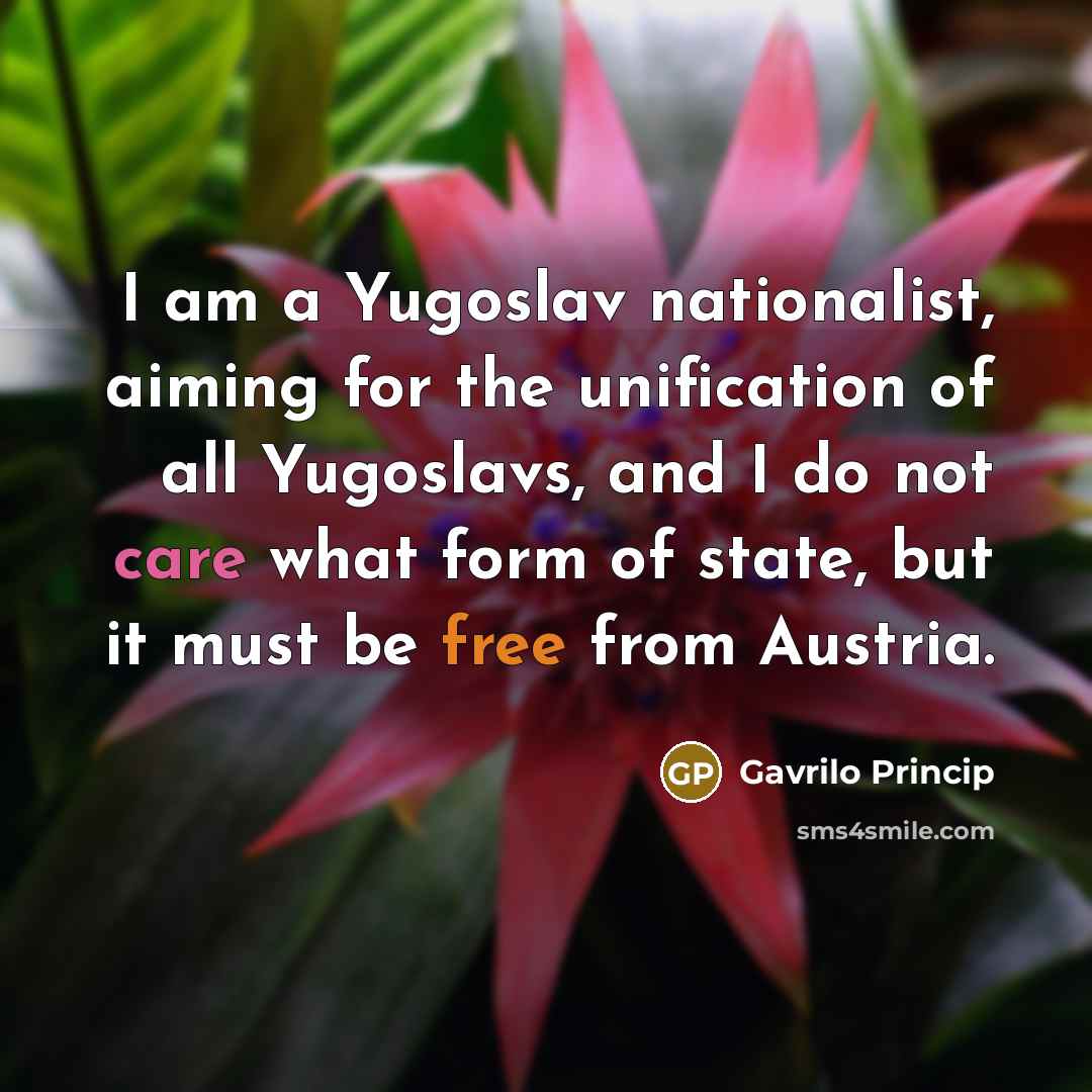 “I am a Yugoslav nationalist, aiming for the unification of…” quote by Gavrilo Princip