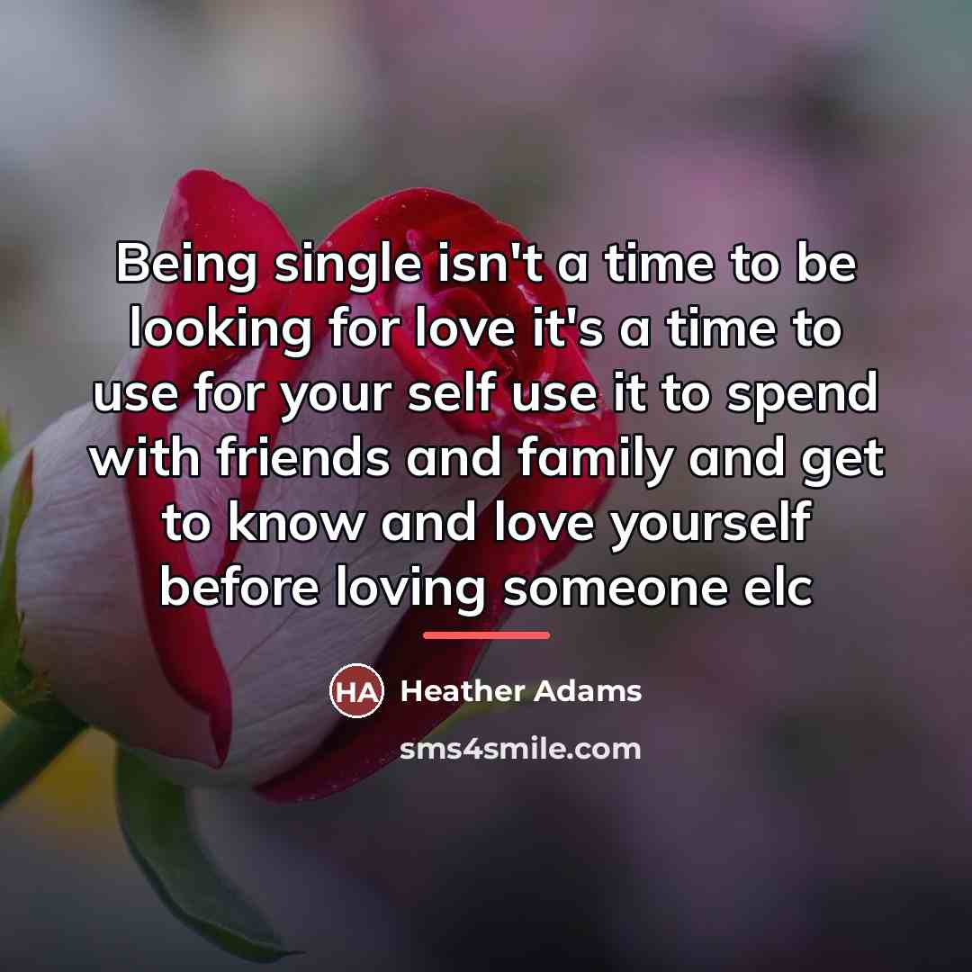“Being single isn't a time to be looking for love…” quote by Heather Adams