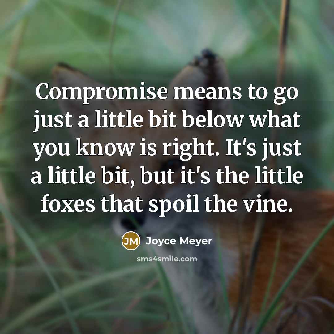 “Compromise means to go just a little bit below what…” quote by Joyce Meyer