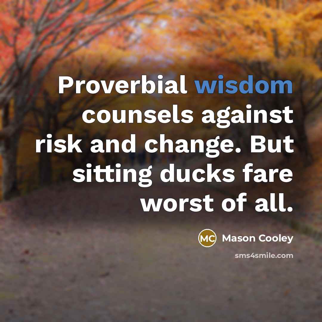 “Proverbial wisdom counsels against risk and change. But sitting ducks…” quote by Mason Cooley