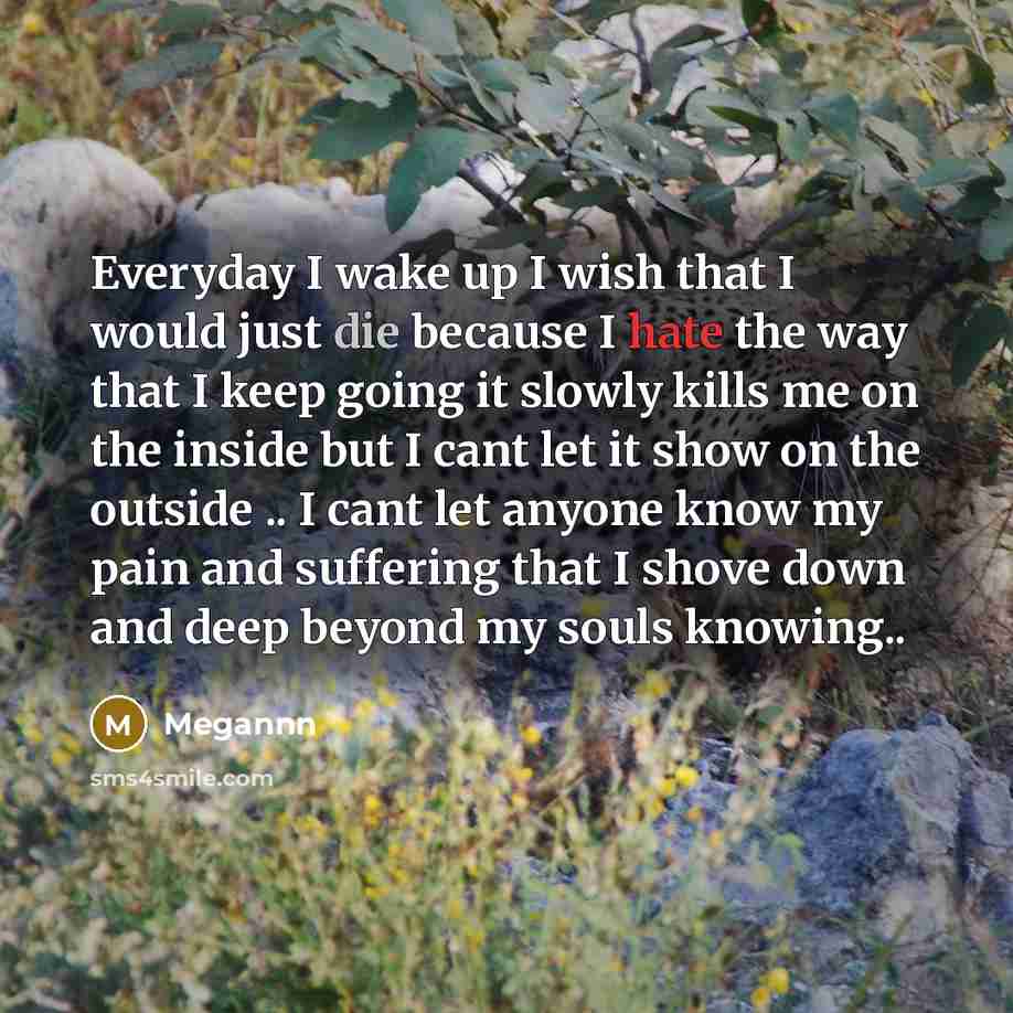 “Everyday I wake up I wish that I would just…” quote by Megannn