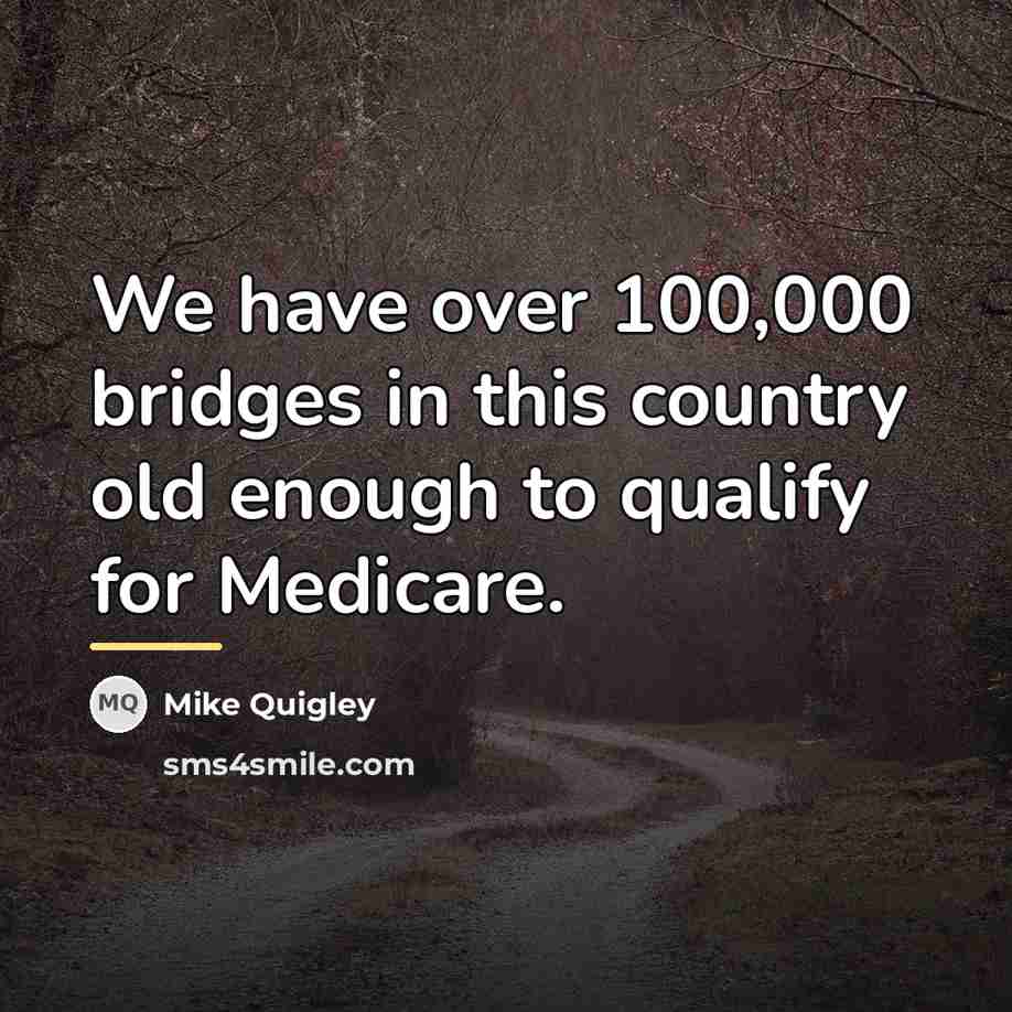 “We have over 100,000 bridges in this country old enough…” quote by Mike Quigley