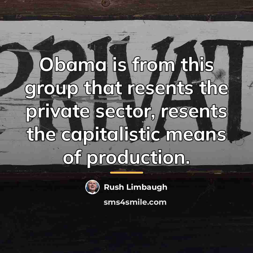 “Obama is from this group that resents the private sector,…” quote by Rush Limbaugh