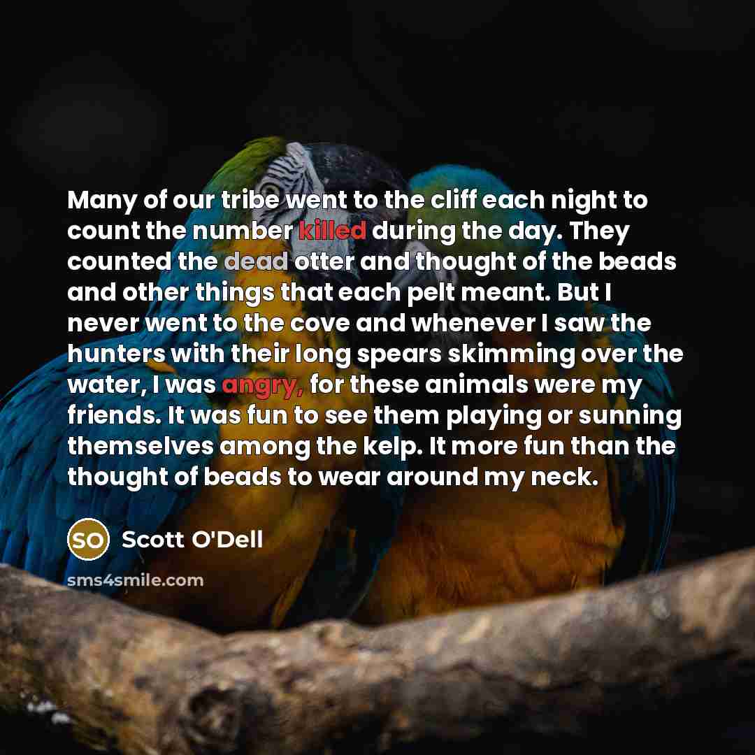 “Many of our tribe went to the cliff each night…” quote by Scott O'Dell