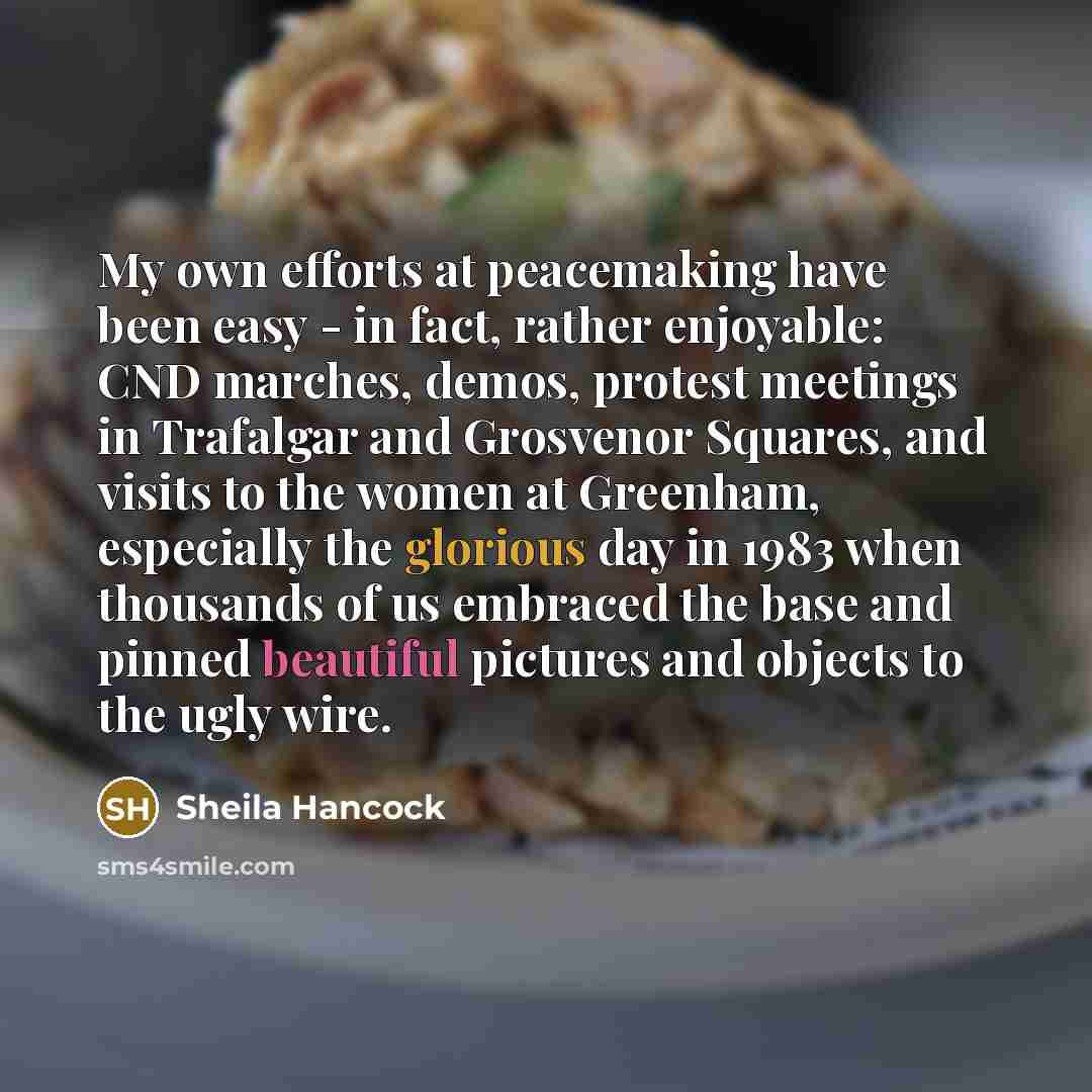 “My own efforts at peacemaking have been easy - in…” quote by Sheila Hancock