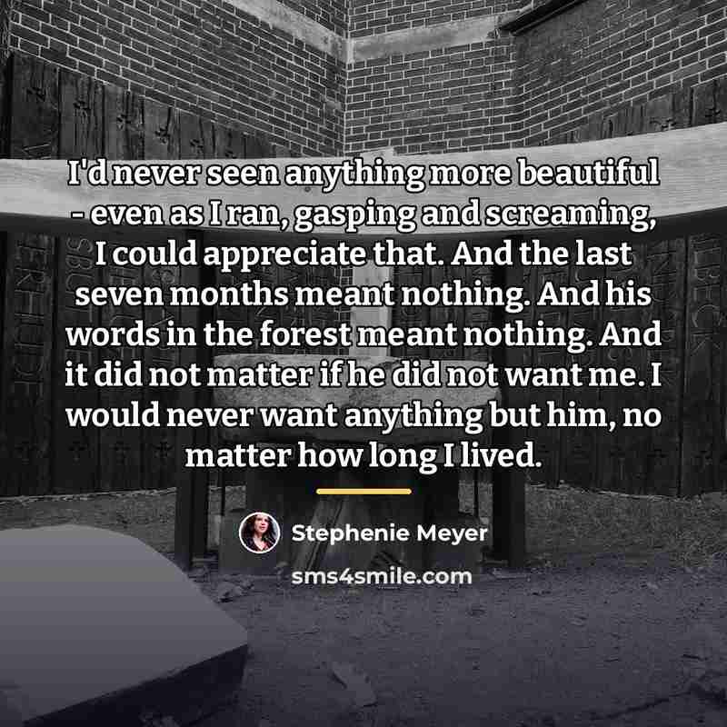 “I'd never seen anything more beautiful - even as I…” quote by Stephenie Meyer