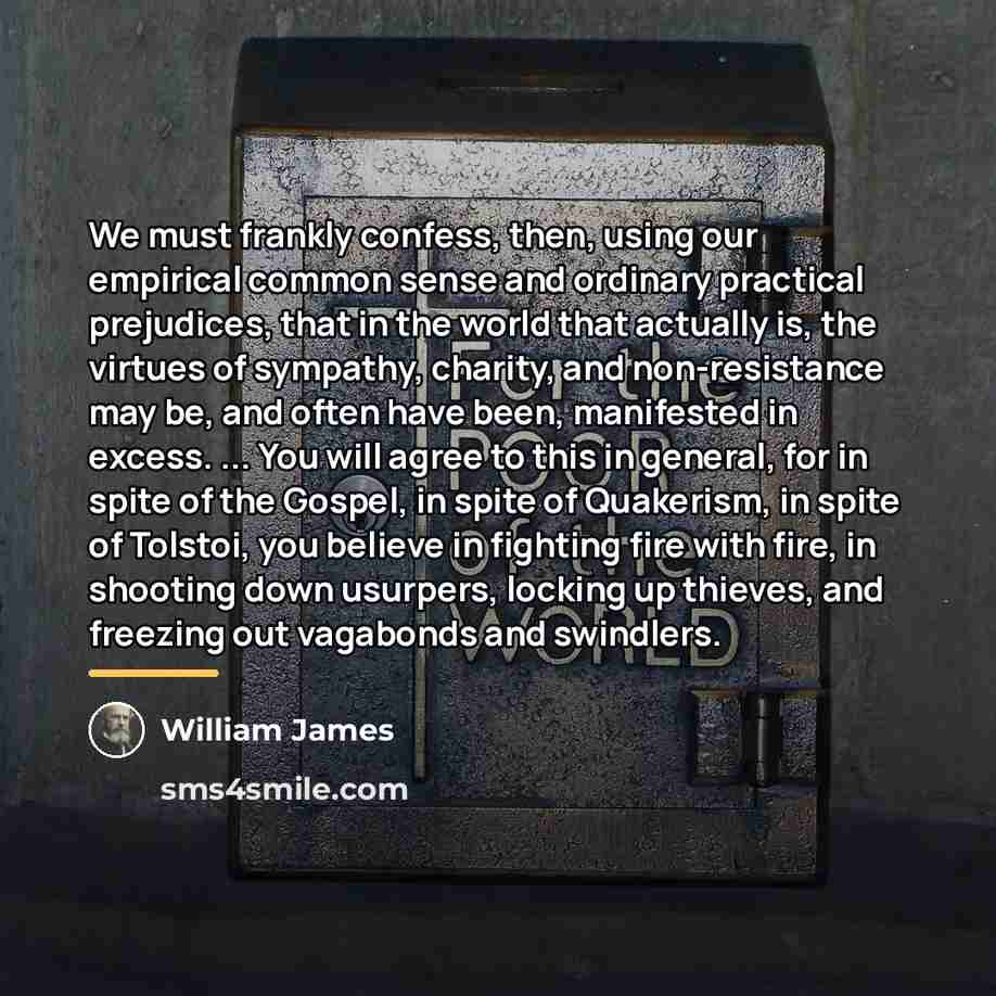 “We must frankly confess, then, using our empirical common sense…” quote by William James