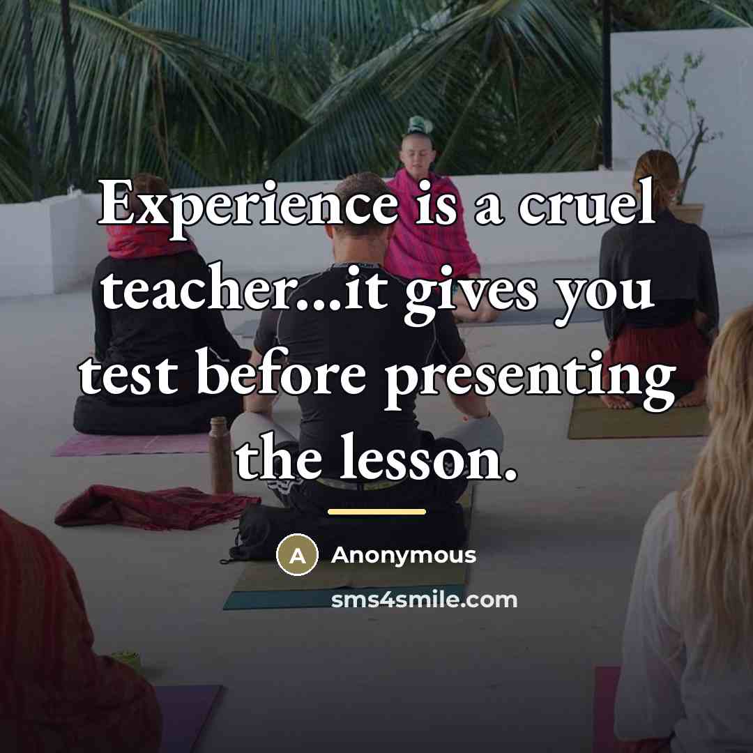 “Experience is a cruel teacher...it gives you test before presenting…” quote by Anonymous