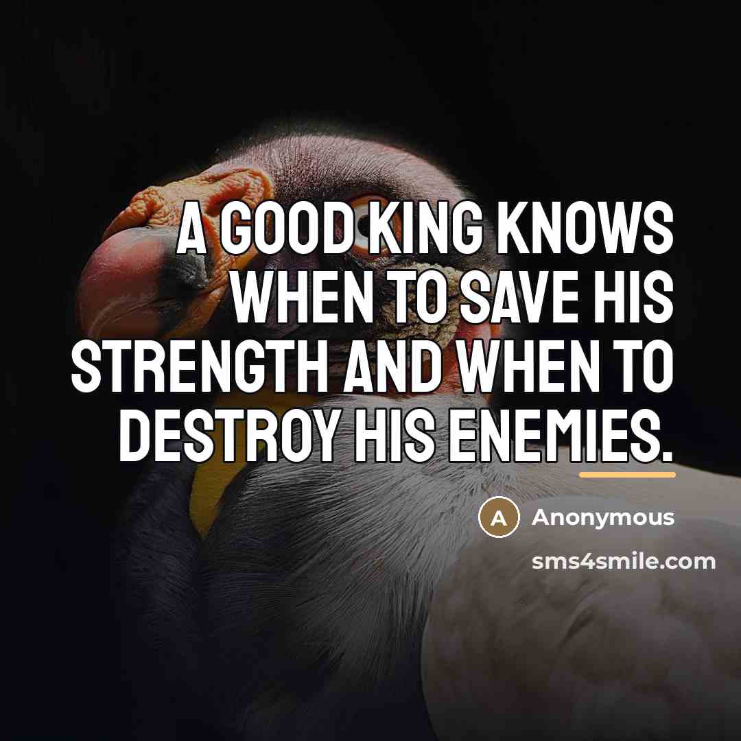 “A good king knows when to save his strength and…” quote by Anonymous