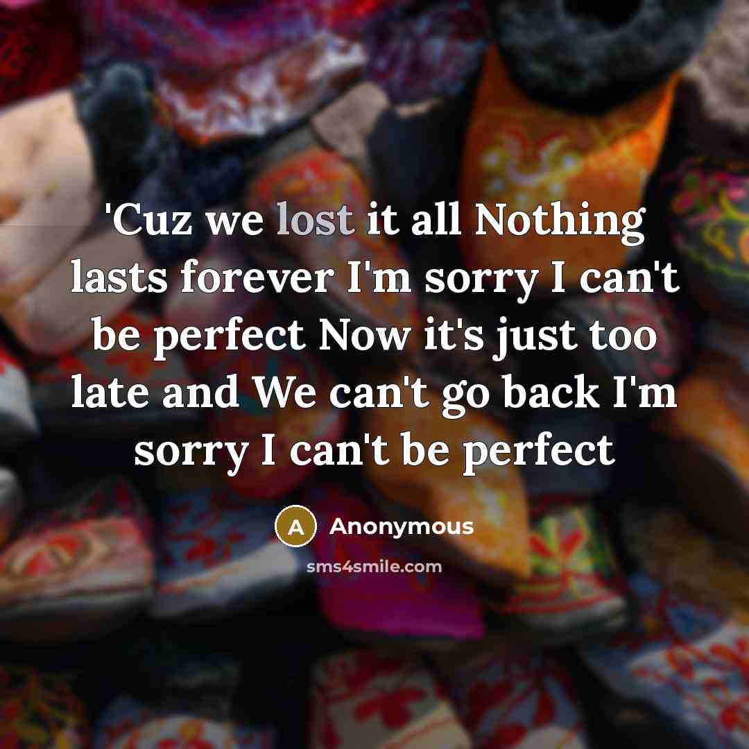 “'Cuz we lost it all Nothing lasts forever I'm sorry…” quote by Anonymous