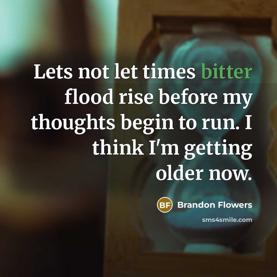 “Lets not let times bitter flood rise before my thoughts…” quote by Brandon Flowers