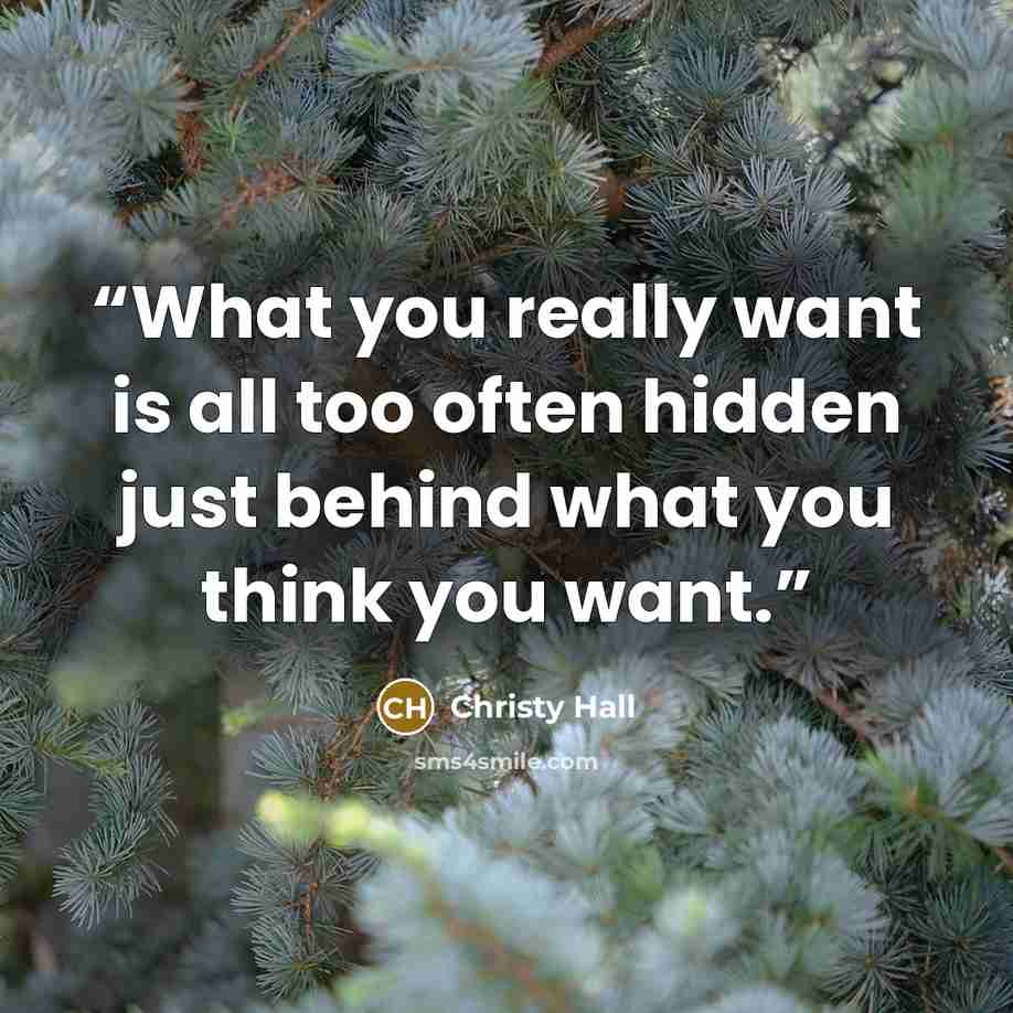 “What you really want is all too often hidden just behind what you think you want.” quote by Christy Hall