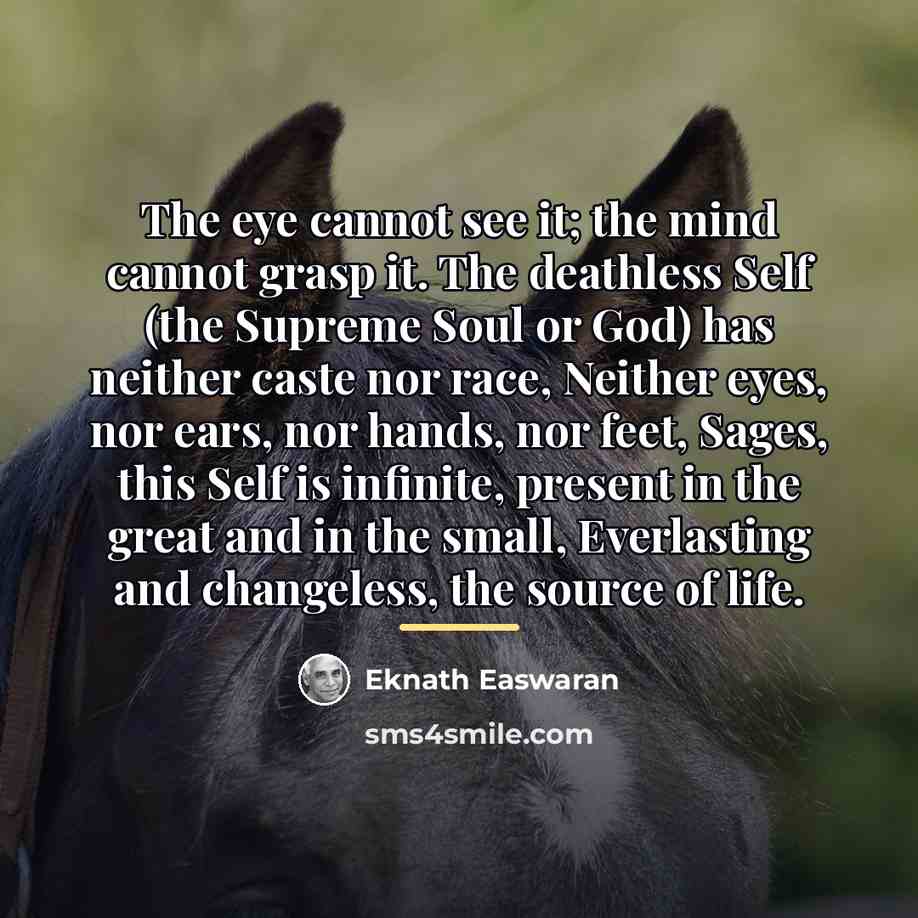 “The eye cannot see it; the mind cannot grasp it.…” quote by Eknath Easwaran