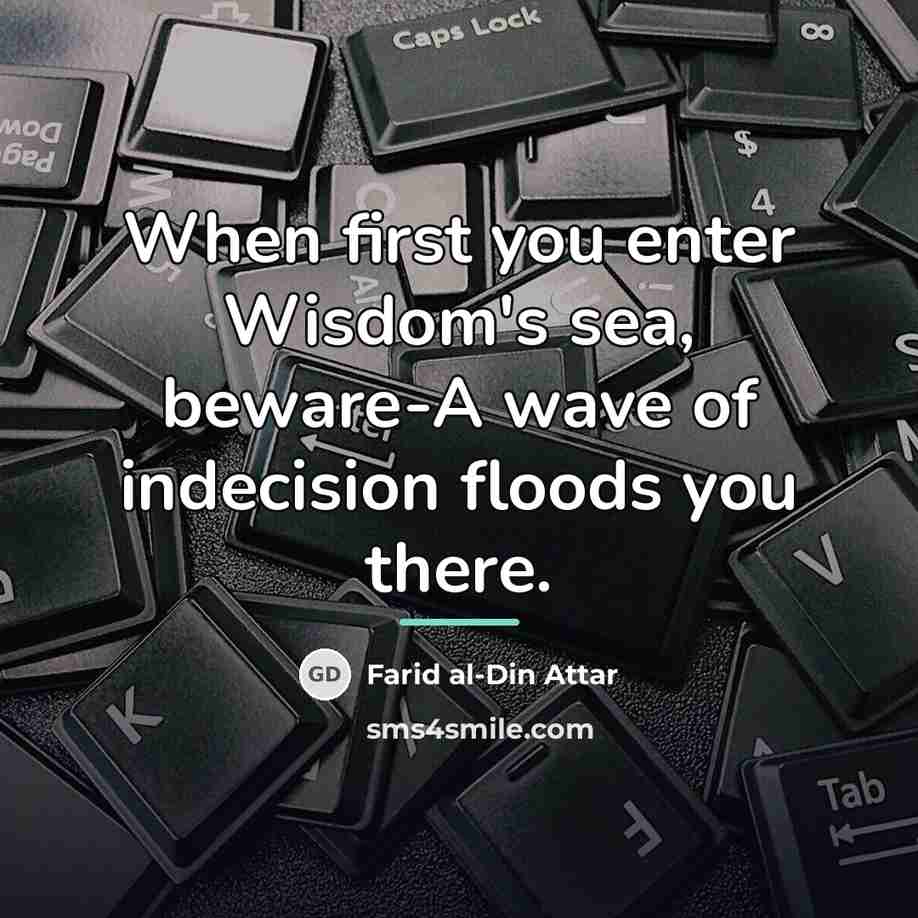 “When first you enter Wisdom's sea, beware-A wave of indecision…” quote by Farid al-Din Attar