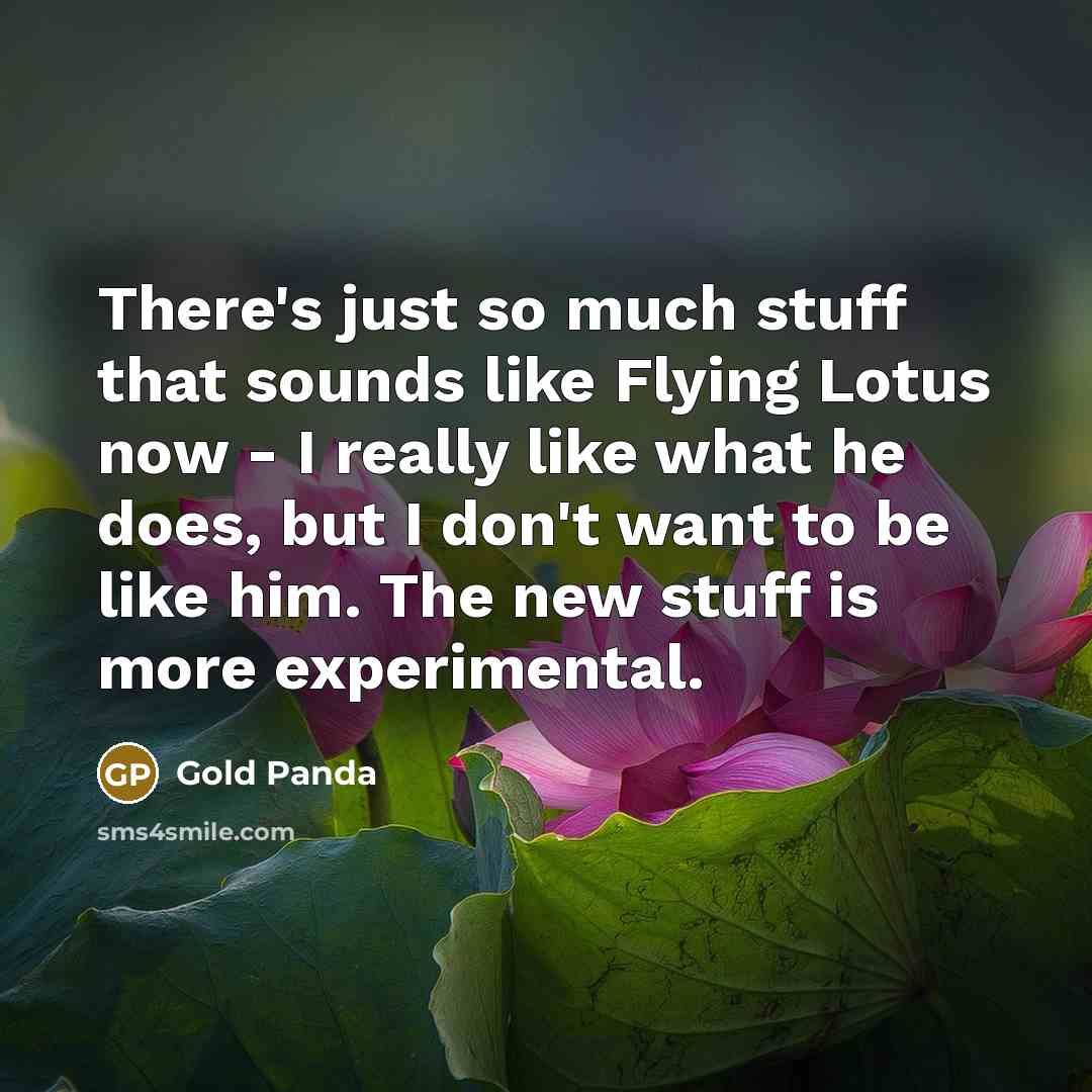 “There's just so much stuff that sounds like Flying Lotus…” quote by Gold Panda