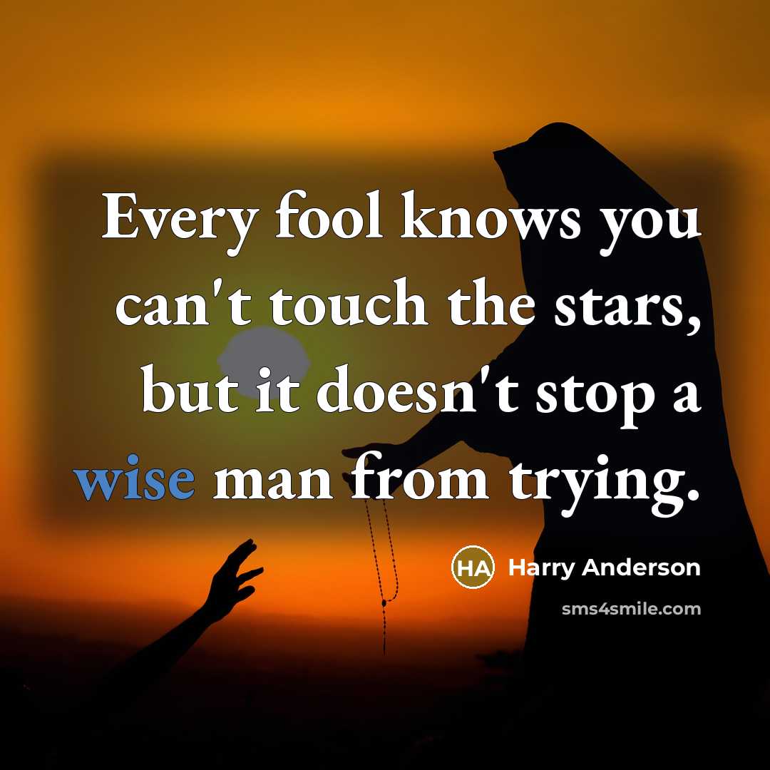 “Every fool knows you can't touch the stars, but it…” quote by Harry Anderson