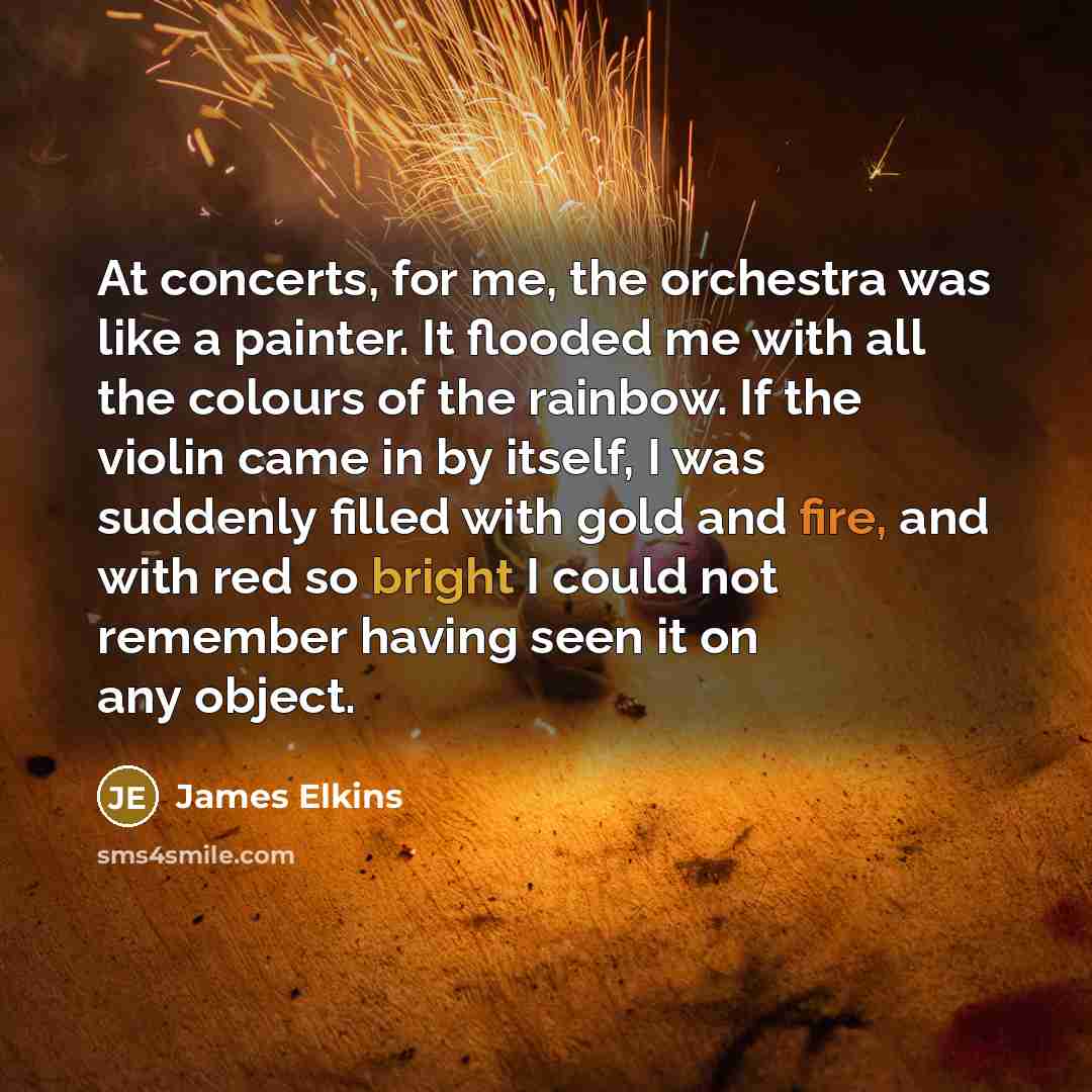 “At concerts, for me, the orchestra was like a painter.…” quote by James Elkins