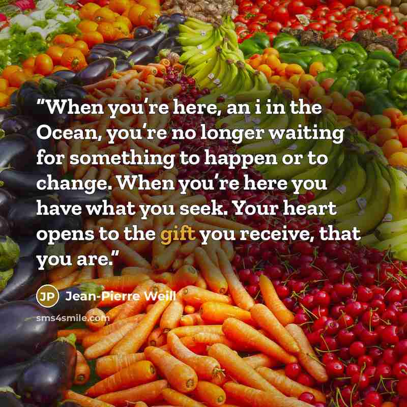 “When you’re here, an i in the Ocean, you’re no longer waiting for something to happen or to change. When you’re here you have what you seek. Your heart opens to the gift you receive, that you are.” quote by Jean-Pierre Weill