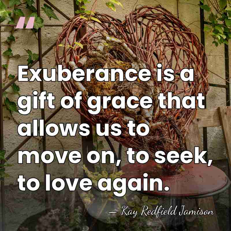 Exuberance is a gift of grace that allows us to move on,&hellip; - Kay Redfield Jamison